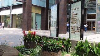 人出が戻って賑やかな東京ミッドタウンでランチ