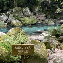 遊歩道沿いの清流