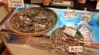 大量の「こざかなたち」