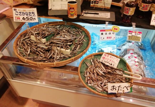 大量の「こざかなたち」