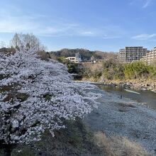 鮎美橋から上流側