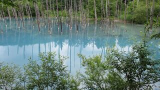特典航空券で行く一人旅