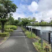 今回は桜ノ宮橋から毛馬水門まで大川右岸を歩きました。