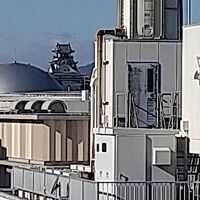 高知城が遠望できました