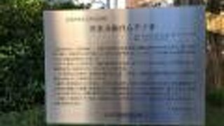 伝通院の近くの巨木