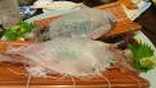 新鮮な九州の魚