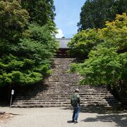 新緑の神護寺　