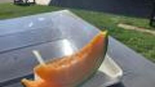 メロンが美味しい！