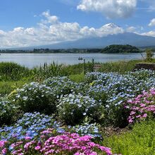 お花と一緒に