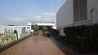 駐機している機体を見る機会が多い