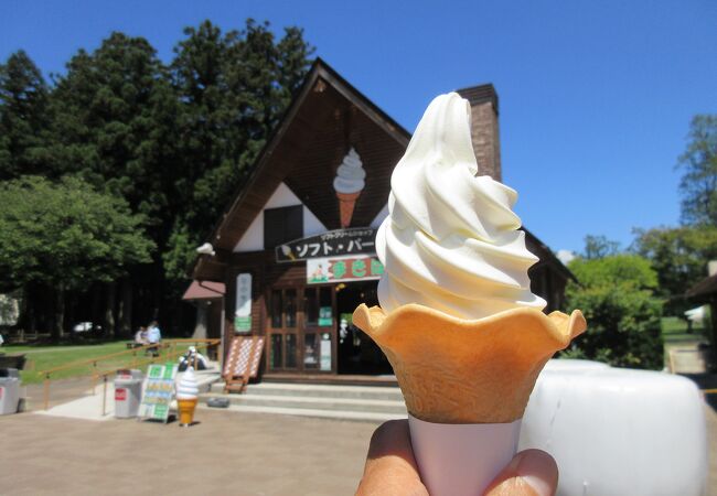 千本松牧場ソフトクリームショップ 本店