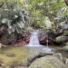 無料のターザンロープ完備