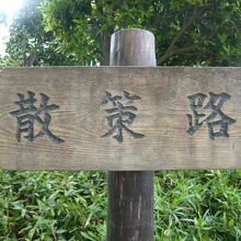 桜の開花時期を過ぎると、散策に適した時期となります。氷川参道