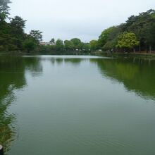 大宮公園の北側には、広い池があります。落ち着いた環境です。