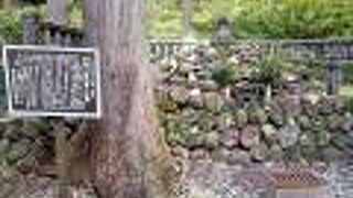 河津三郎の血塚