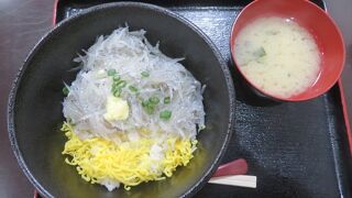 江の島名物の生しらす丼を食べました