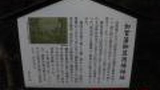 尾崎神社見学後にすぐ近くで見つけました