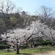 丸亀城内の公園