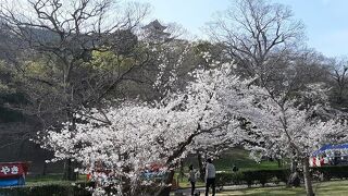 丸亀城内の公園