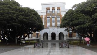 石川県政記念しいのき迎賓館や堂形のシイノキがあります