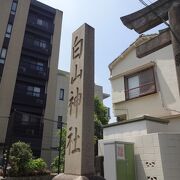 境内には、建物の修復作業をしている方がいらっしゃいました。