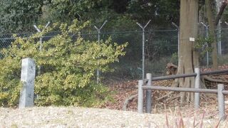 座間キャンプに隣接しています