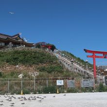 蕪嶋神社