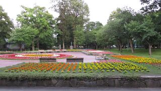 きれいな花が咲いていました