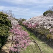 立川を流れる川