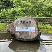 原生林の中の滝