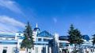 お土産の品揃えが豊富