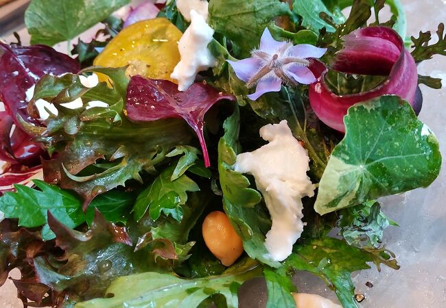 気軽に楽しめる