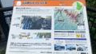 青みのある川と白い滝の組み合わせが綺麗