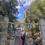 地元の方が大切に守ってきている神社のようです。