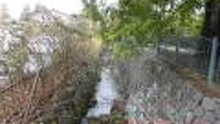 金沢21世紀美術館の西側に