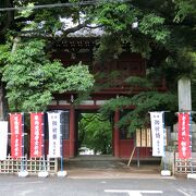 松戸の四季花の寺