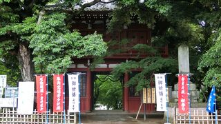 松戸の四季花の寺