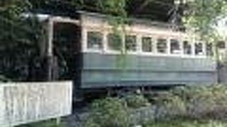 花菖蒲を見に行ったついでに