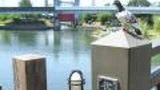 水位差を調整するゲート