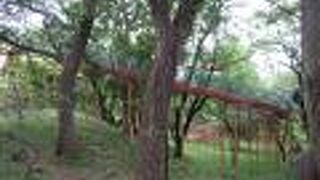 ローラーすべり台がある公園