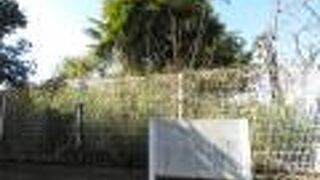 旧早川村出身の方