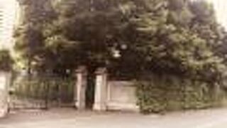 木々と壁で覆う