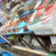 沖縄のカラフルな魚たち、そして貝や蟹