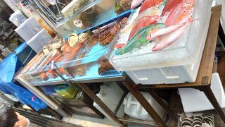 沖縄のカラフルな魚たち、そして貝や蟹