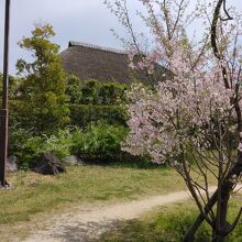 実籾本郷公園