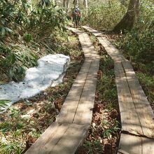 山ノ鼻・至仏山・鳩待峠ハイキングコース