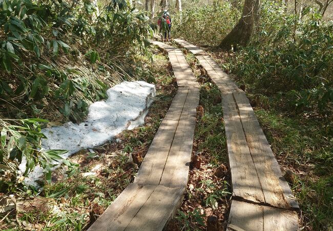 山ノ鼻・至仏山・鳩待峠ハイキングコース