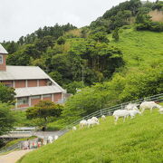 牛の水彩画 千葉県酪農のさとセンター長賞受賞 木製フレーム付き