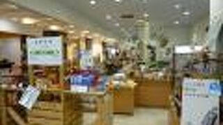 レンタサイクルも取り扱っています