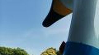 スワンに乗ってきました